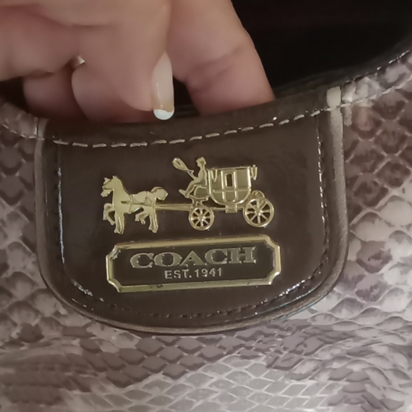 COACH Madison Python Print Maggie Hobo 19843 - Picture 2 of 12